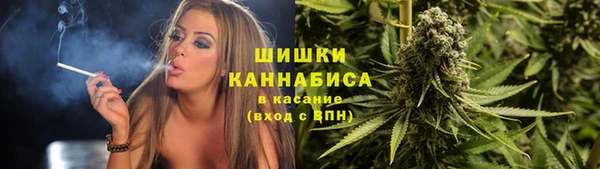 стаф Кинешма