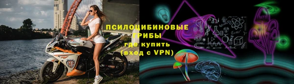 крисы Козловка