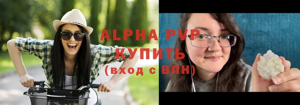 стаф Кинешма