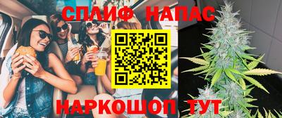 ECSTASY Кингисепп
