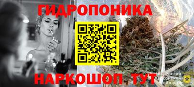 ECSTASY Кингисепп