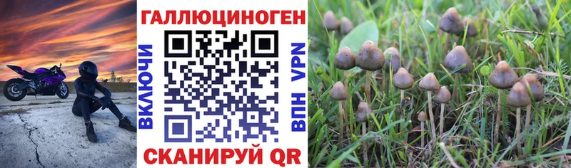 Галлюциногенные грибы MAGIC MUSHROOMS  где продают наркотики  МЕГА ссылка  Кохма 