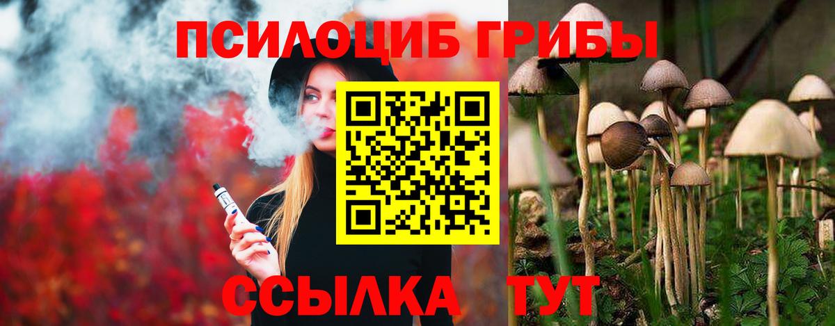 продажа наркотиков  Вход с VPN  Кохма  Галлюциногенные грибы GOLDEN TEACHER 