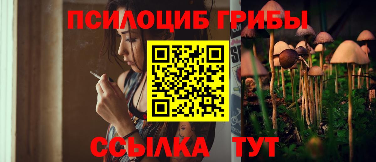 Псилоцибиновые грибы MAGIC MUSHROOMS Кохма